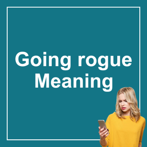 Going Rogue Meaning Slang Examples Slang Monster