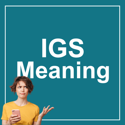 IGS Meaning