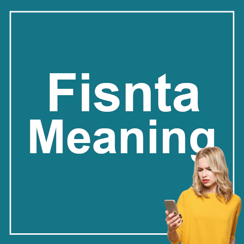 Finsta Meaning
