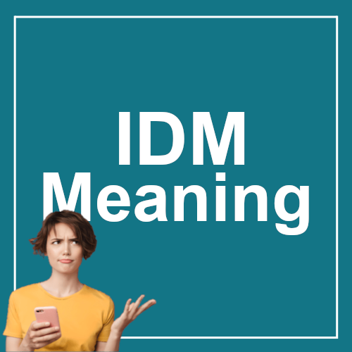 IDM Meaning
