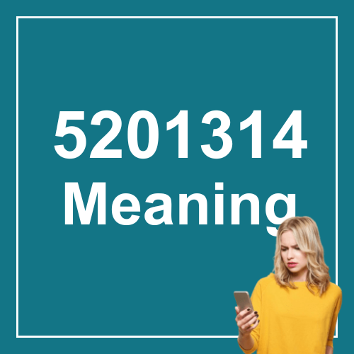 5201314 Meaning